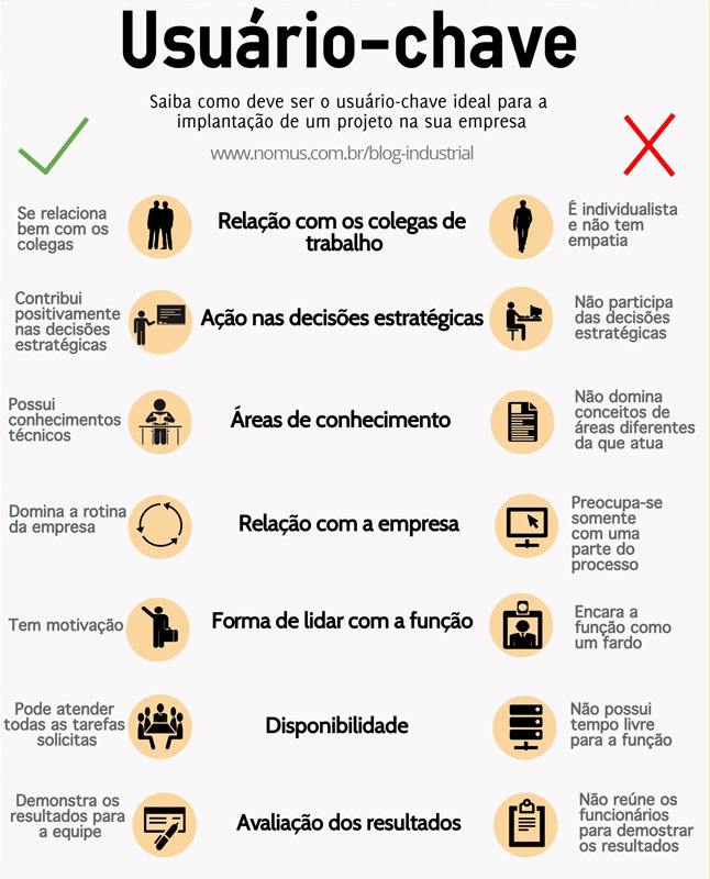 usuário-chave-infografico