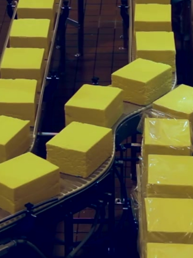 Linha De Producao De Alimentos