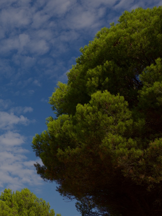 Brasil: Potencial Líder em Aço Verde