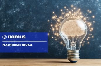 plasticidade neural