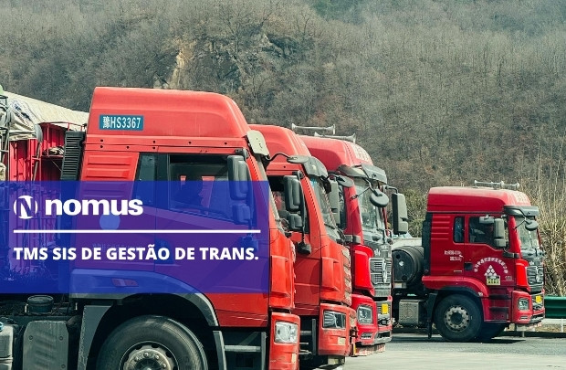 TMS Sis de Gestão de trans.